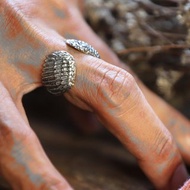 貓頭鷹天使之翼戒指女士純銀