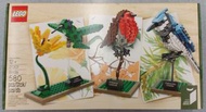 LEGO Ideas 21301 Birds (全新 絕版 未開 MISB 與 40522 10280 10281 40497 40498 31129 40527 共融)