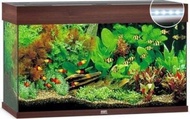 JUWEL Rio 125 Dark Wood (Tank only) (81x36x50cm)