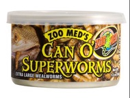 柴灣水中情 Zoo Med麥皮蟲罐頭(大條) 35g ZM-146  黃粉蟲 麵包蟲