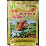 Baja Strawberry fertilizer cytokinin plant auxin to increase flower bud differentiation hormone foli