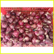 ✒ ↂ ◕ 1 kg lasona native sibuyas red onion from ilocos
