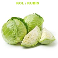 KOL / KUBIS -COD- 25 Biji / Benih / bibit ( KOL HIJAU / KUBIS HIJAU UNGGUL ) Mudah tumbuh - Seed bua