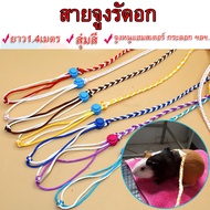 ถูก สายจูงรัดอก 1.4เมตร ปรับได้ สายจูงเปีย สายรัดอก สายจูง สัตว์เล็ก หนูแฮมสเตอร์ ชูการ์ไกรเดอร์ กระ