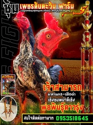 ไข่ไก่ชนสายเลือดเงินล้าน ราคาฟองละ150บาท พิเศษซื้อ3แถม1  ซื้อ5แถม2