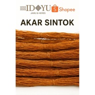 Akar Sintok - 1 ikat