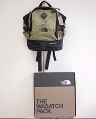 The North Face 經典之作 "Back To 1995" 全新連盒發售  35L 45x33x18cm tnf supreme backpack 背囊 背狼 書包 袋 背包