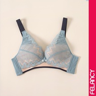 Felancy Charming Lace Nursing Bra 073-02090