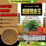 SUPER HARD AKADAMA 14 LITER JAPAN SUCCULENT CACTUS SOIL TANAH POKOK KAKTUS 日本黑崎超硬质赤玉土