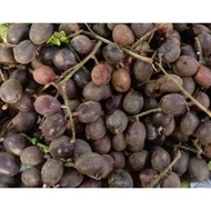 Buah Matoa/Buah Longan Brazil/Buah Kristal Sarawak (500gm)