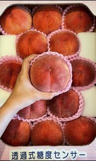 日本山梨縣大糖嶺紅水蜜桃（大）2個$138