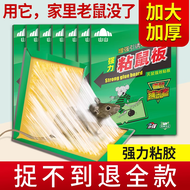 山山 粘鼠板强力型家用老鼠粘贴捕鼠器超值5张装