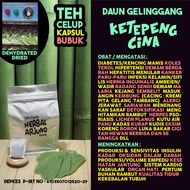 Dehydrated Dried Teh Celup Kapsul Bubuk Daun Ketepeng Cina Ki Manila Obat DBD Demam Berdarah Trombos