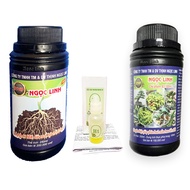 Bộ sản phẩm R1-H1-B3 Ngọc Linh điều khiển ra hoa tạo quả và chăm dưỡng cây