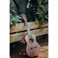 Ukulele Concert 23inch Music (With Full Accessories)