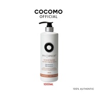[SG READY STOCKS] (PHYTOPECIA+) (2028 EX DATE) Hair Shampoo 1000ml - COCOMO