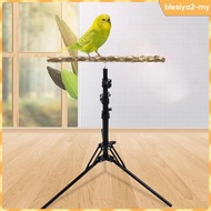 [BlesiyaedMY] Parrot Perch, Bird Stand Pole Climbing Platform, Standing Wood Parrot Perch Stand Toy 
