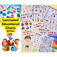 EDUCATIONAL LAMINATED CHARTS/ WALL CHARTS / A4 SIZE