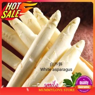 3 Pcs White asparagus Seed 白芦笋种子 3 粒 Ready Stock Sarawak