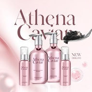 【B2F1】ECOHAIR Athena Caviar Premium Hair Care Series