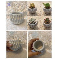 Cactus ~ Succulent Pots Concrete