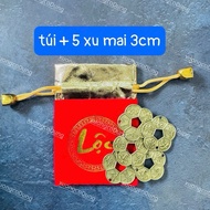 [ fortune ] Combo of 5 ancient apricot flower coins 3cm feng shui