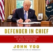 Defender in Chief John Yoo