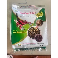 Nocap Bocap 5Gr - Spread soil to prevent coffee nematode fungus - 1 kg package