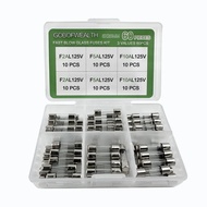 5x20mm 0.2x0.78 inci, Dibungkus dalam Kotak Plastik Lutsinar, Sesuai untuk Kit Gabungan Fius Mini Ka