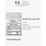 ROBUSTA JAVA AP1 BEANS
