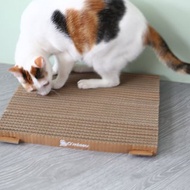 貓抓板 雙面一片式 雙面可抓 貓用品 Boxkitty 瓦楞紙 貓玩具