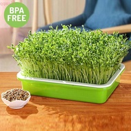 QQMALL Seedling Tray Harmless Durable Wheatgrass Plastic Double-layer Soilless Planting Soilless cultivation