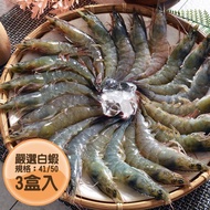 【美安大會限定】野生活凍大白蝦(41/50) 共3盒免運組 加贈鯖魚165g*1包