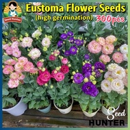 Fresh Eustoma Flower Seeds for Planting (Mixed Color 300 Seed) Lisianthus Seeds Bonsai Eustoma Flowe