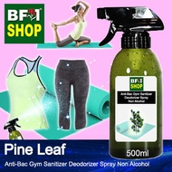 Pine Leaf Anti Bacterial Gym Sanitizer Deodorizer Spray - Non Alcohol - 500ml