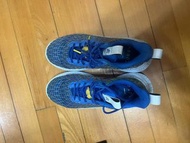 Curry 10 / Nike PG5 Multicolor