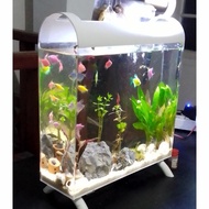 premium aquarium akrilik jumbo ikan hias glofish koki cupang dll