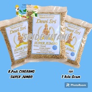 New Product Terlaris Bibit Padi Ciherang Super Jumbo 1 Kg Bibit Unggul