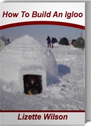 How To Build An Igloo Lizette Wilson