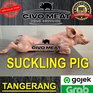 Sukling Pig / Anak Babi 1 ekor