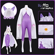 Anime Re:Zero Emilia Cosplay Costume Set | Perfect for Comic-Con