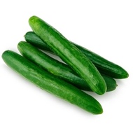 Japanese Cucumber / Timun Jepun (500g±)