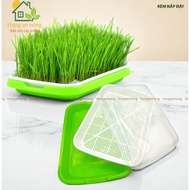 KAM – 2-layer sprout growing tray with lid - size 34x25x4.5cm