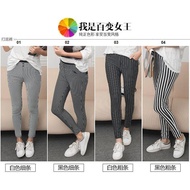 Stripe Leggings 条纹紧身裤