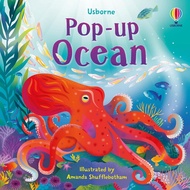 DKTODAY USBORNE POP-UP OCEAN Book (AGE 5+)