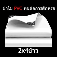 ผ้าใบกันน้ำ PVC กันน้ำ สีขาว หนาแข็งแรง ทนต่อแรงดึง เนื้อหยาบ (with chicken eyes) หนาแข็งแรง หนึ่งรู