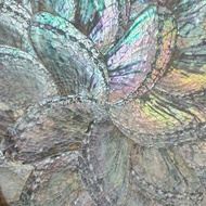 Abalone Shell Sheet Royal Silver Panel Abalone Shell by Kharisma Batok Indonesia