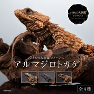 22年8月預訂！魂限定！全新未開封 日版 Bandai Advance 扭蛋 生物之大圖鑑 犰狳環尾蜥 (全4種)