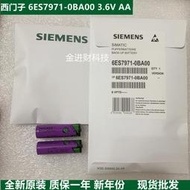 現貨.全新西門子S7-400電池SL-360 TL-5903 6ES7971-0BA00以色列塔迪蘭