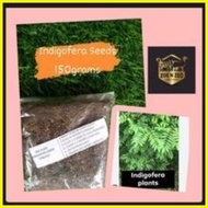 ❃ ◄ ✤ Indigofera seeds 150 grams